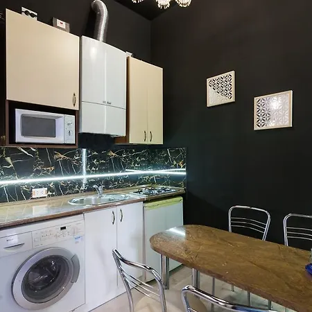 Austrian Apartments Leopolli Near Railway Station 利沃夫 外观 照片